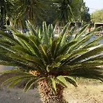 Yapyli Kos-stad